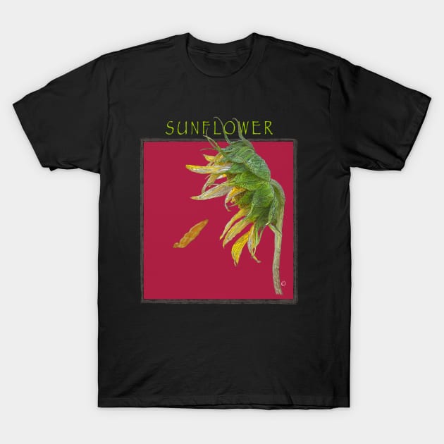 Sunflower (red) T-Shirt by The Orchard